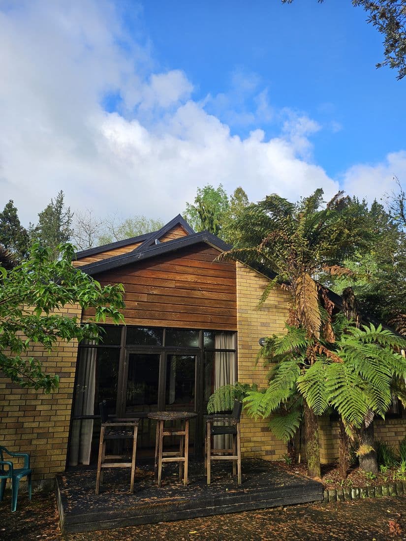Cedar-clad home with dark steel roof and native bush